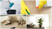 Civil Cleaning Services image 1
